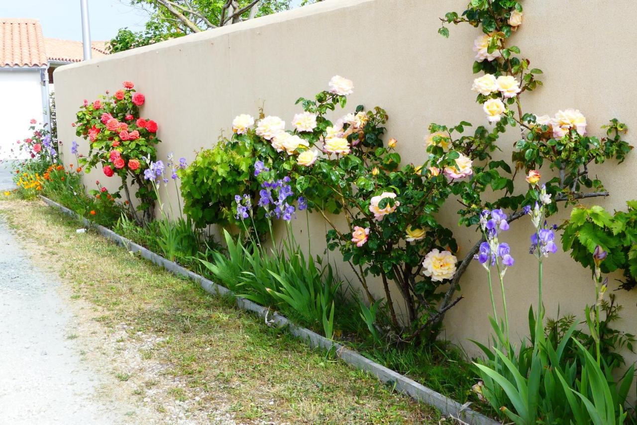 La Passerose 3 Pieces Avec Jardin Au Calme,A 300M De La Plage, Bed & Breakfast La Couarde-sur-Mer Dış mekan fotoğraf